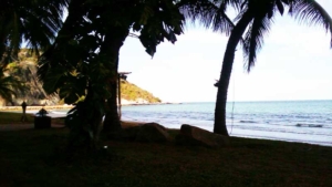 Beach Front Condo for Rent