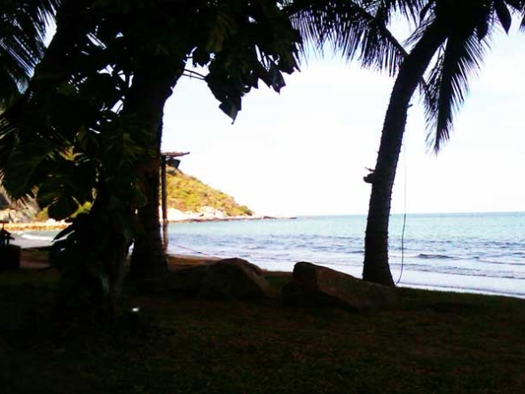 Beach Front Condo for Rent
