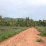 Land for Sale off Royal Coast Road