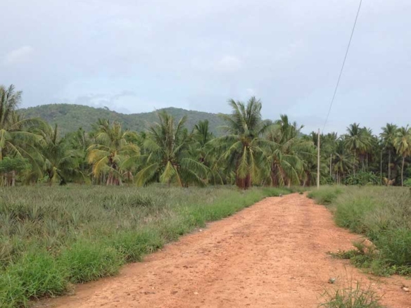 Land for Sale off Royal Coast Road